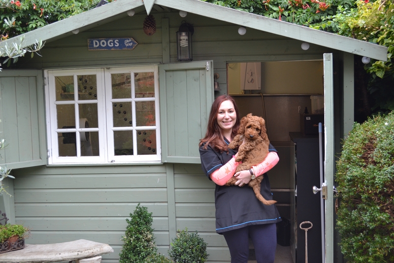 About Me at the Grooming Shed Cheshunt, Hertfordshire.